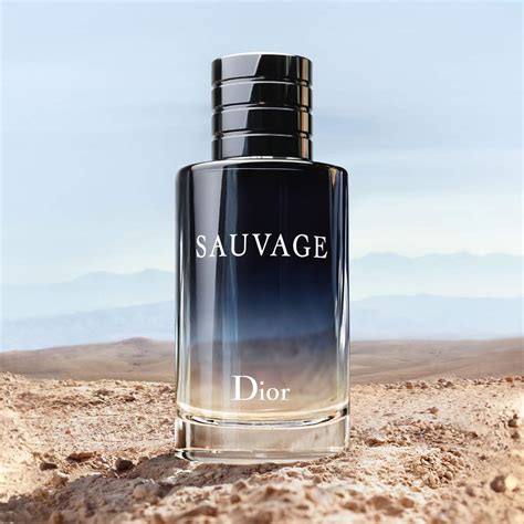 dior sauvage types